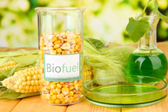 Fron biofuel availability